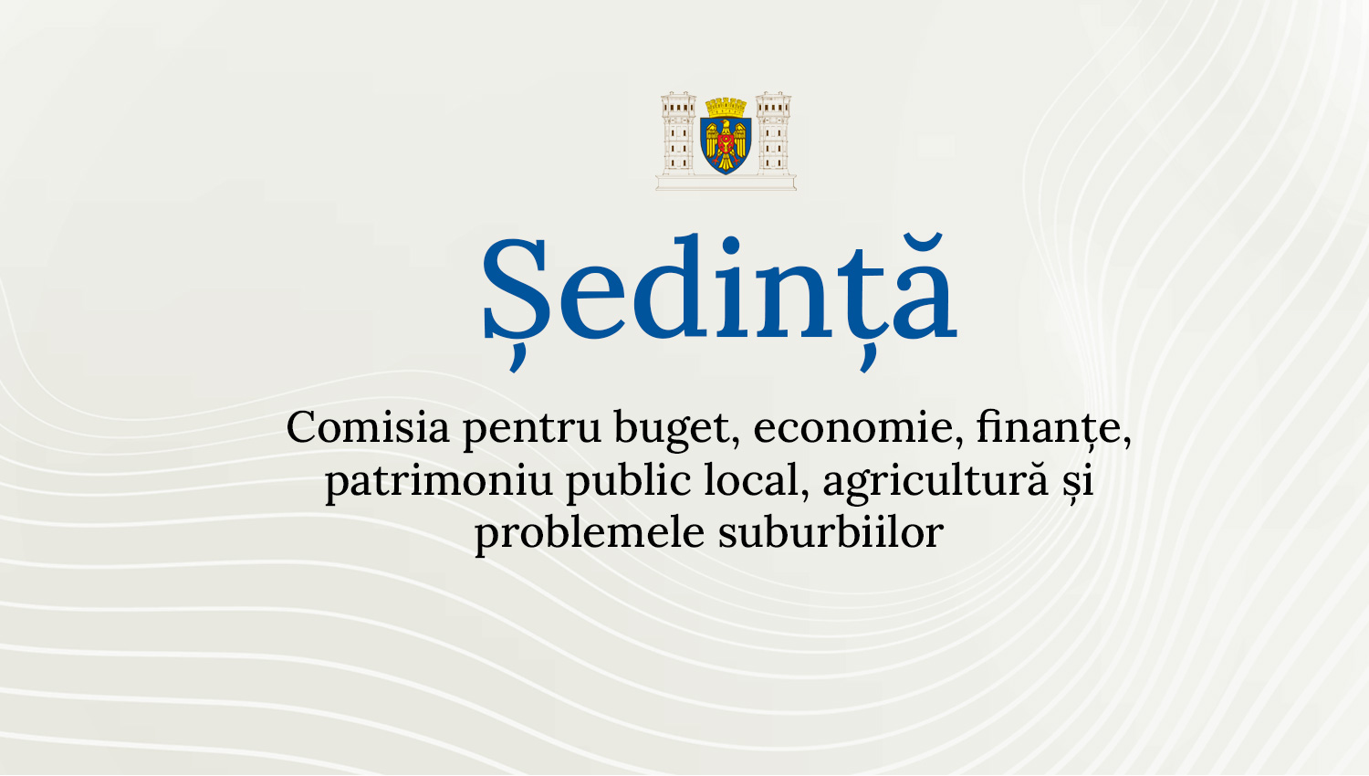 Ședința Comisiei buget, economie, finanțe și patrimoniu public local
